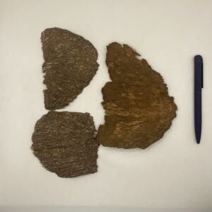 صورة المنتج